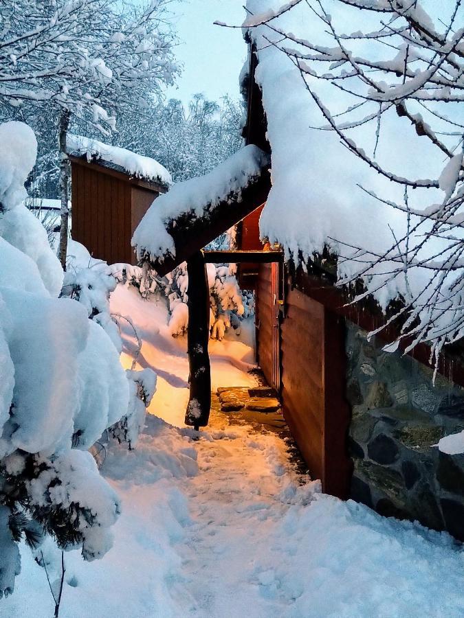 Troll Fjordhytter Syvde المظهر الخارجي الصورة